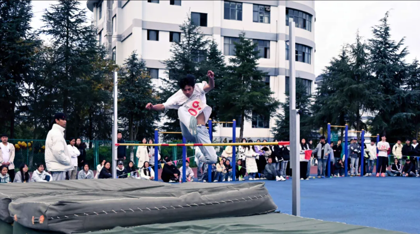 1732804469163025110.png image.png